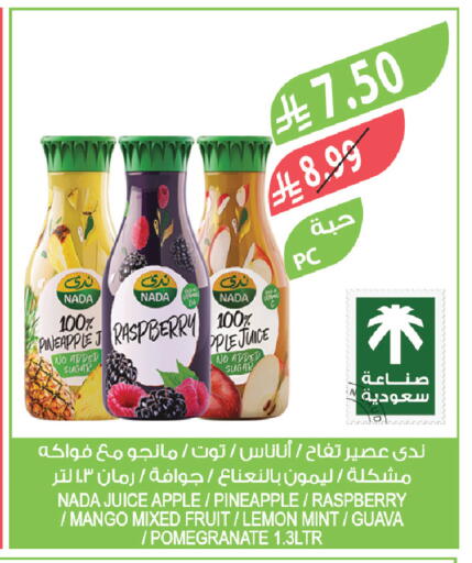 Pineapple Raspberry Apple Mango Lemon Guava Pomegranate Mint available at المزرعة in مملكة العربية السعودية, السعودية, سعودية - الخفجي