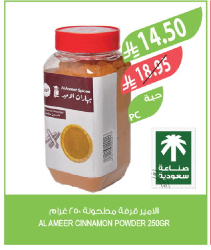 Cinnamon available at Farm  in KSA, Saudi Arabia, Saudi - Al Khobar