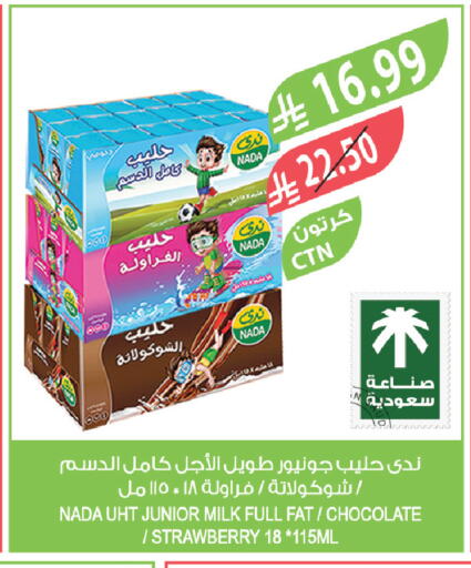 Strawberry available at Farm  in KSA, Saudi Arabia, Saudi - Saihat