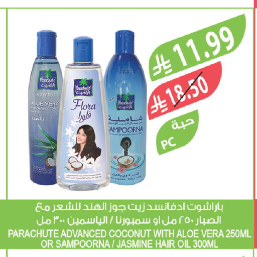 Coconut available at Farm  in KSA, Saudi Arabia, Saudi - Saihat