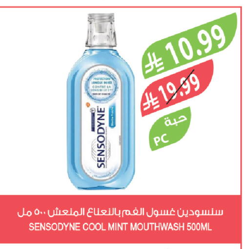 Mint available at Farm  in KSA, Saudi Arabia, Saudi - Sakaka