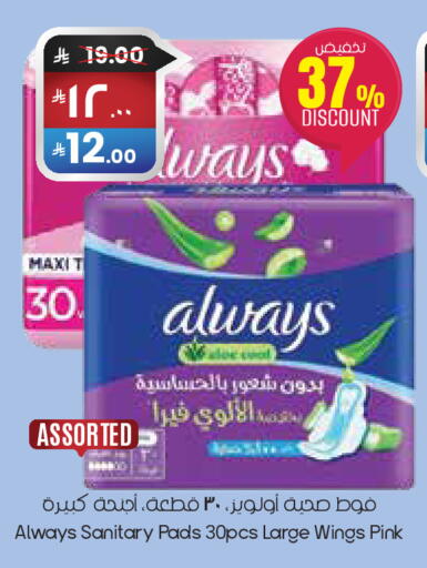 available at ستي فلاور in مملكة العربية السعودية, السعودية, سعودية - حفر الباطن