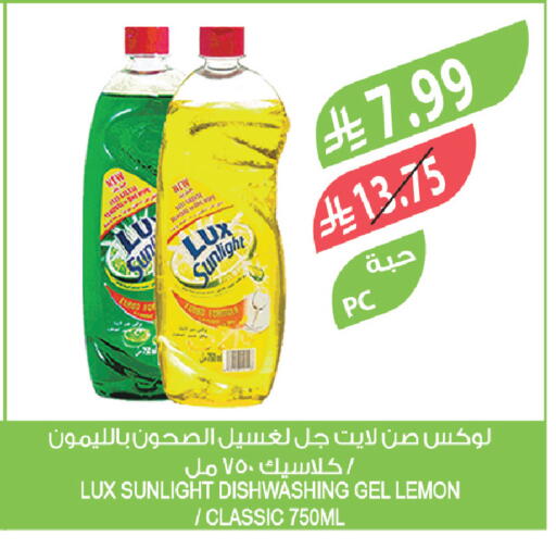 Lemon available at Farm  in KSA, Saudi Arabia, Saudi - Saihat