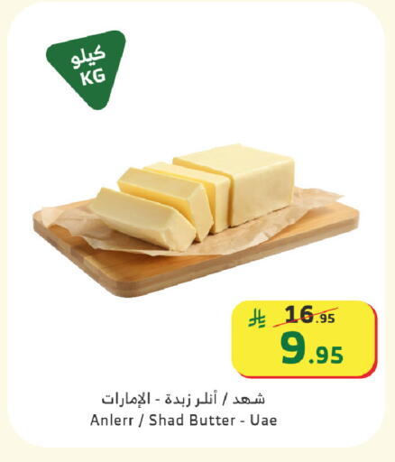 available at Al Raya in KSA, Saudi Arabia, Saudi - Ta'if