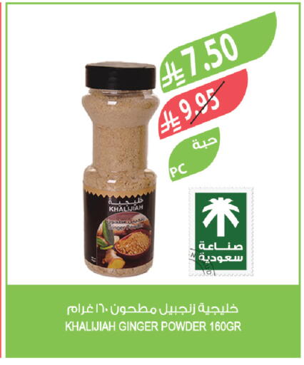 Ginger available at المزرعة in مملكة العربية السعودية, السعودية, سعودية - الخفجي