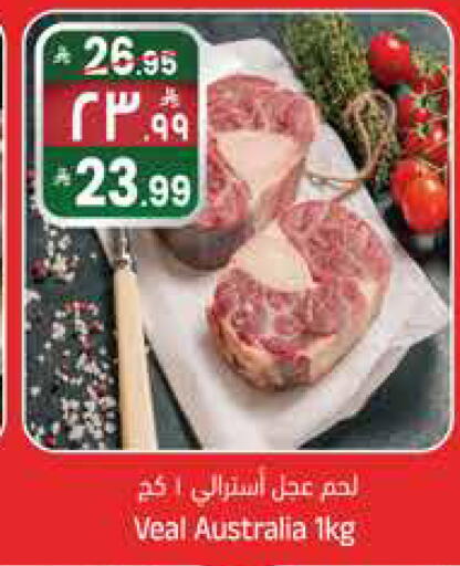 available at City Flower in KSA, Saudi Arabia, Saudi - Sakaka