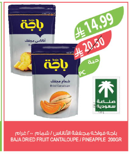 Cantaloupe Pineapple available at Farm  in KSA, Saudi Arabia, Saudi - Saihat