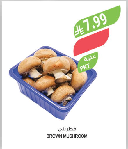 Mushroom available at Farm  in KSA, Saudi Arabia, Saudi - Al Khobar