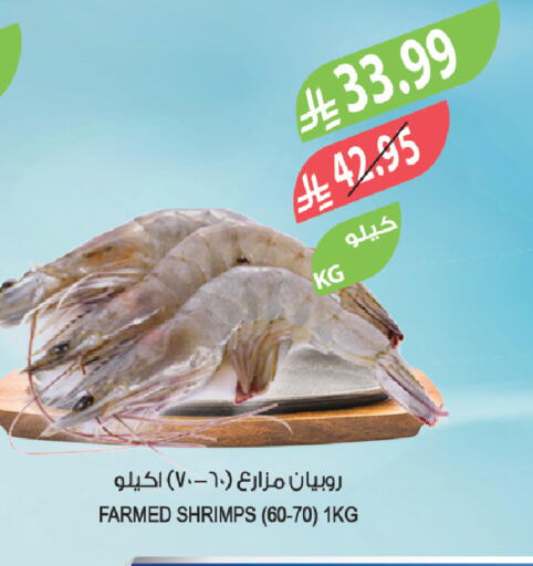 available at المزرعة in مملكة العربية السعودية, السعودية, سعودية - الخبر‎