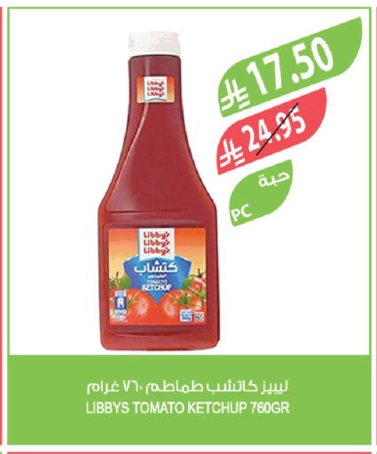 Tomato available at المزرعة in مملكة العربية السعودية, السعودية, سعودية - الخفجي