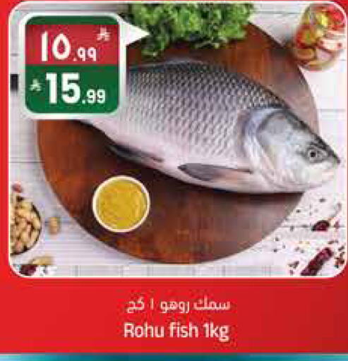 available at City Flower in KSA, Saudi Arabia, Saudi - Sakaka