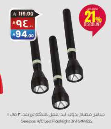 available at City Flower in KSA, Saudi Arabia, Saudi - Sakaka