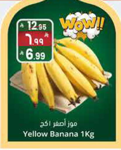 Banana available at City Flower in KSA, Saudi Arabia, Saudi - Sakaka