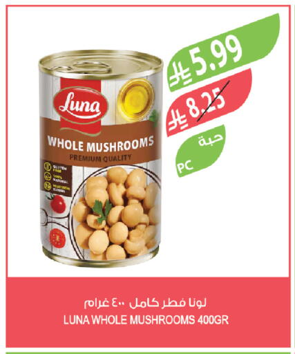 available at Farm  in KSA, Saudi Arabia, Saudi - Al Khobar