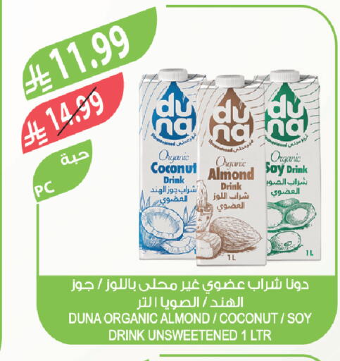 Coconut available at Farm  in KSA, Saudi Arabia, Saudi - Saihat