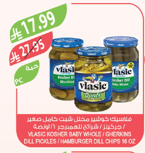 Dill available at Farm  in KSA, Saudi Arabia, Saudi - Sakaka