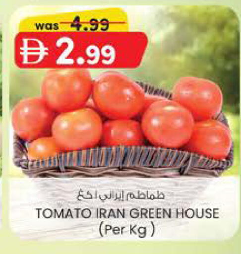 Tomato from Iran available at الصفا in الإمارات العربية المتحدة , الامارات - ٱلْعَيْن‎