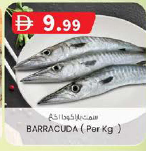 available at Al Safa in UAE - Al Ain