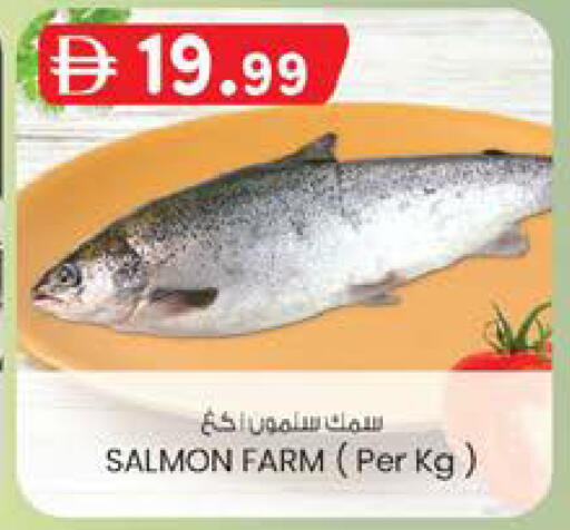 available at صفا هايبر in الإمارات العربية المتحدة , الامارات - ٱلْعَيْن‎