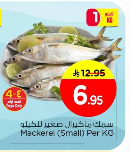 available at Nesto in KSA, Saudi Arabia, Saudi - Dammam