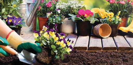 available at Safari Hypermarket in UAE - Sharjah / Ajman