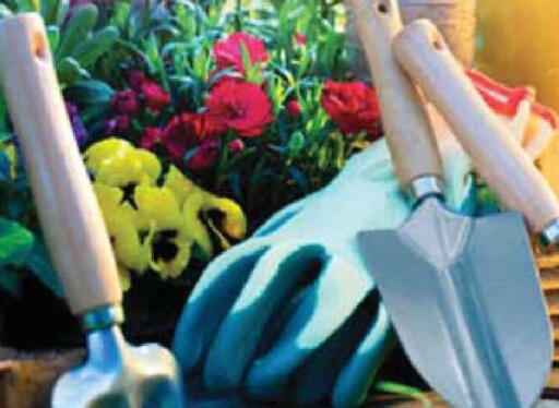 available at Safari Hypermarket in UAE - Sharjah / Ajman