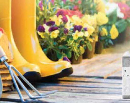 available at Safari Hypermarket in UAE - Sharjah / Ajman