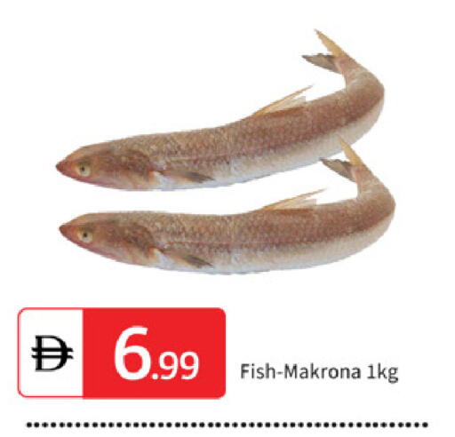 available at TALAL MARKET in UAE - Sharjah / Ajman