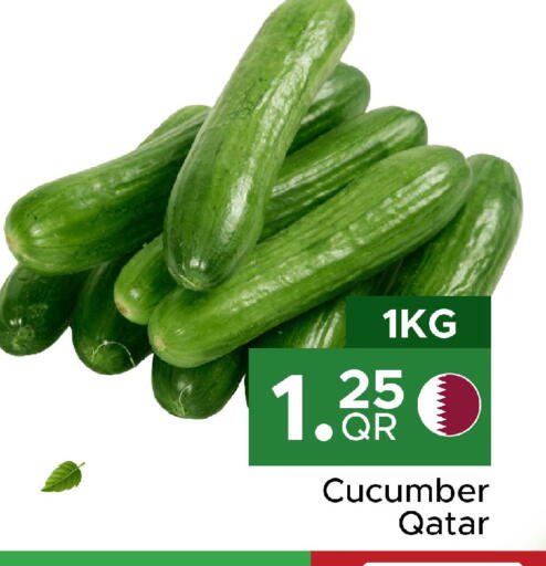 Cucumber available at Family Food Centre in Qatar - Al Khor