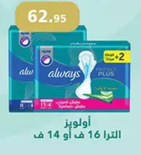 available at الرايه  ماركت in Egypt - القاهرة