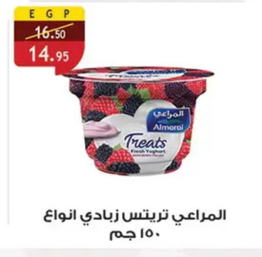 available at Al Rayah Market   in Egypt - Cairo