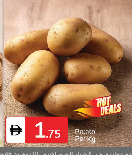 Potato available at TALAL MARKET in UAE - Fujairah