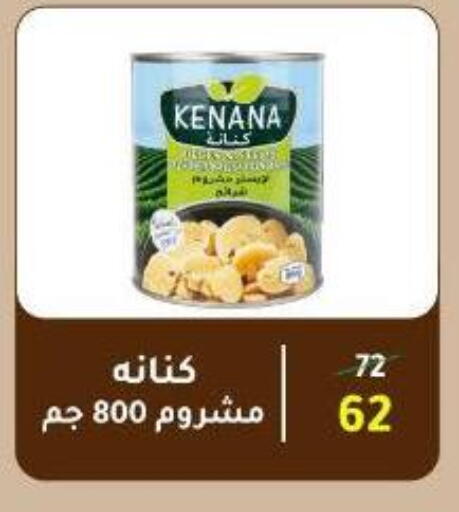 available at Wekalet Elmansoura - Dakahlia  in Egypt - Cairo