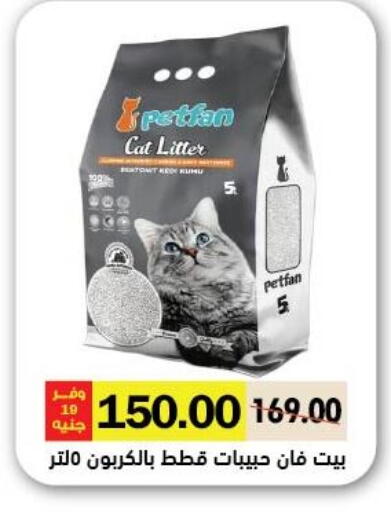 available at Royal House in Egypt - Cairo