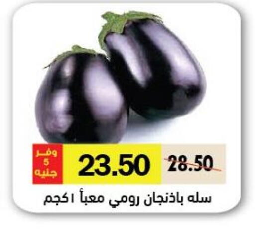 available at Royal House in Egypt - Cairo