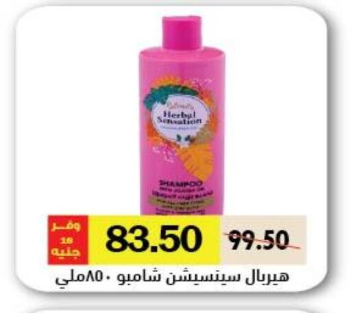 available at رويال هاوس in Egypt - القاهرة