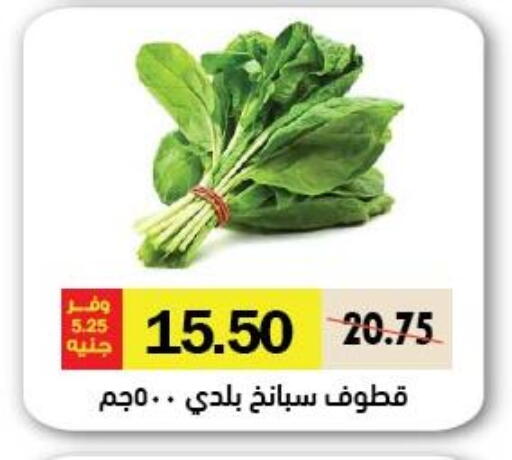 available at Royal House in Egypt - Cairo