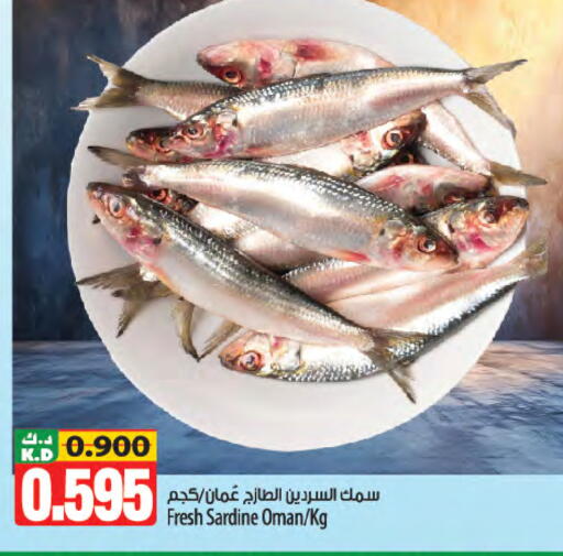 Mango available at مانجو هايبرماركت in الكويت - محافظة الأحمدي