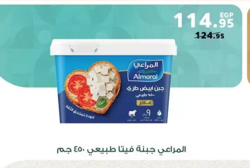 available at Panda  in Egypt - Cairo