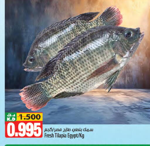 Mango available at مانجو هايبرماركت in الكويت - محافظة الأحمدي