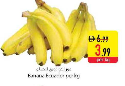 Banana from Ecuador available at السفير ماركت in الإمارات العربية المتحدة , الامارات - دبي