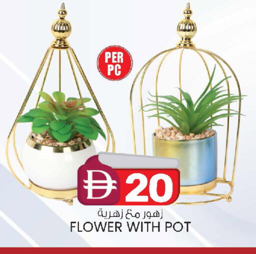 available at الصفا in الإمارات العربية المتحدة , الامارات - أبو ظبي