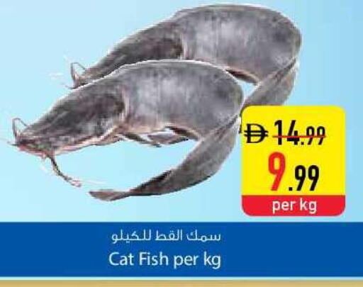 available at السفير ماركت in الإمارات العربية المتحدة , الامارات - دبي