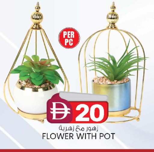 available at K.M Hypermarket in UAE - Sharjah / Ajman