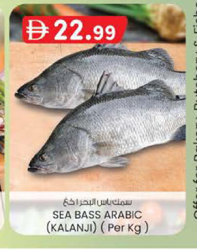 available at ك. إم. هايبرماركت in الإمارات العربية المتحدة , الامارات - أبو ظبي