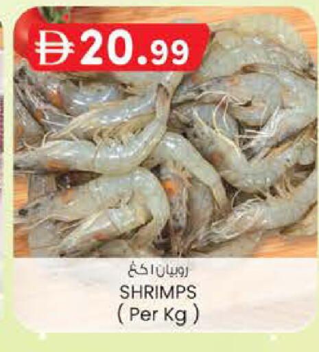 available at Safa Express Supermarket in UAE - Al Ain