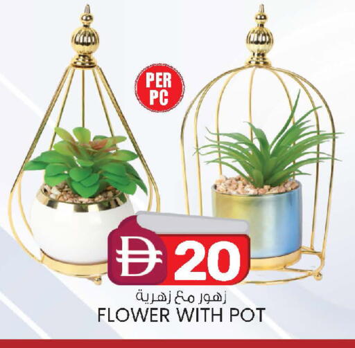 available at K M Trading  in UAE - Abu Dhabi