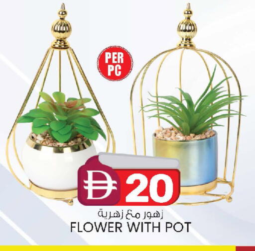 available at صفا اكسبريس سوبرماركت in الإمارات العربية المتحدة , الامارات - أبو ظبي