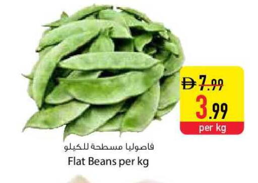 available at السفير ماركت in الإمارات العربية المتحدة , الامارات - دبي