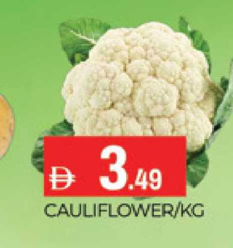 available at AL MADINA (Dubai) in UAE - Dubai